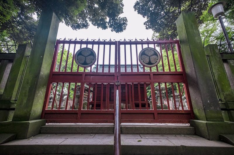 Gate, Tree, Iron, Metal, Composite material, Handrail, Symmetry, Nonbuilding structure, Stairs, Baluster, 
