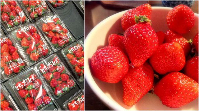 Food, Strawberry, Strawberries, Fruit, Natural foods, Cuisine, Plant, Ingredient, Berry, Dish, 