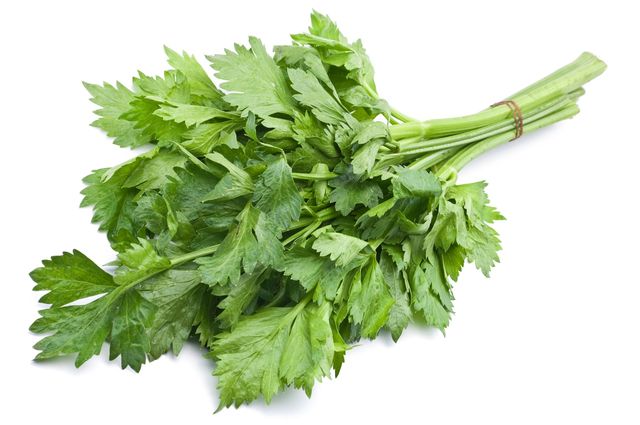 Leaf vegetable, Plant, Leaf, Flower, Food, Vegetable, Culantro, Herb, Coriander, Chinese celery, 