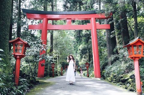 Torii, Photograph, Red, Place of worship, Shinto shrine, Temple, Shrine, Botany, Dress, Bride, 