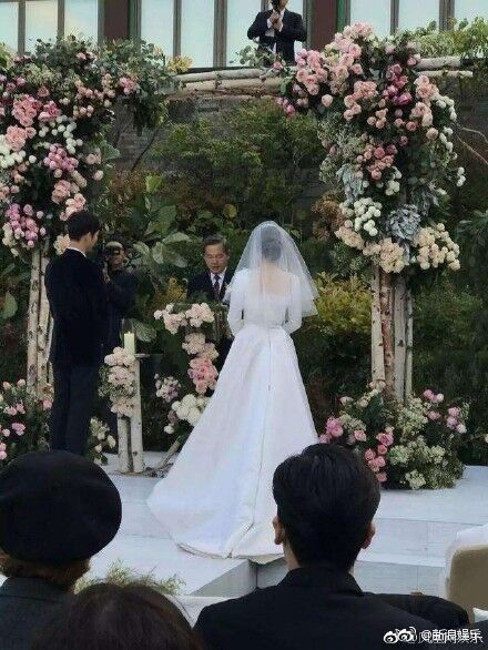 Veil, Wedding dress, Photograph, Dress, Bride, Gown, Bridal veil, Ceremony, Bridal clothing, Bridal accessory, 