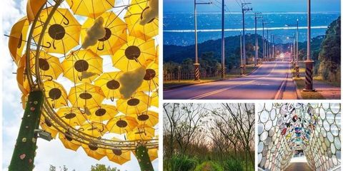 Yellow, Tree, Leaf, Plant, Adaptation, Wildflower, Pattern, Architecture, Art, Flower, 