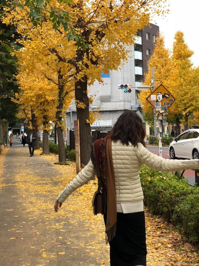 Tree, Leaf, Yellow, Autumn, Woody plant, Deciduous, Snapshot, Standing, Plant, Urban area, 