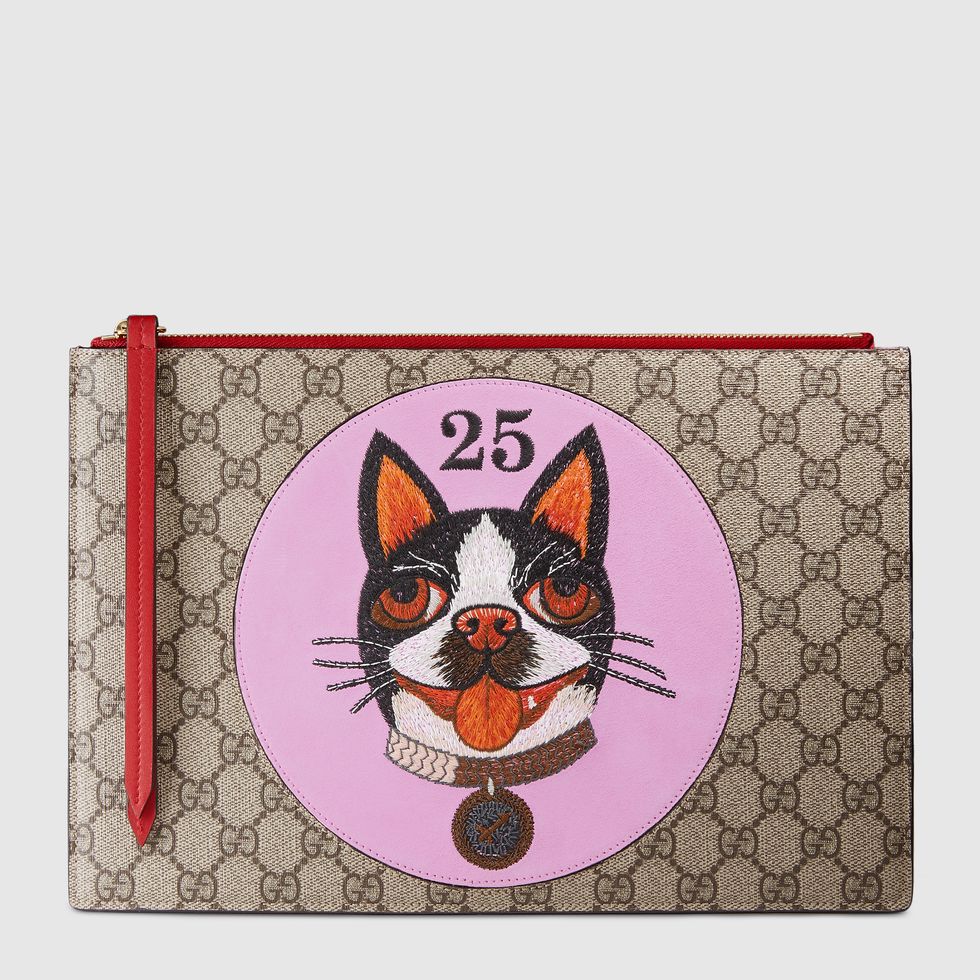 Canidae, Dog, Wallet, French bulldog, Carnivore, Rectangle, Boston terrier, Fashion accessory, Fawn, 