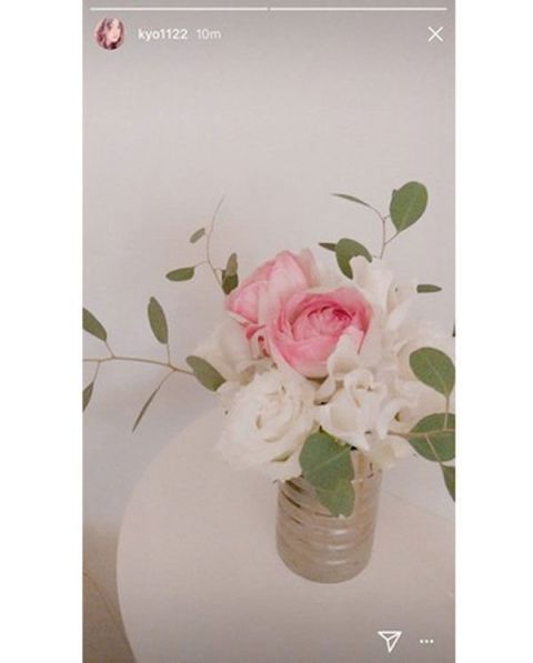 Flower, Pink, Rose, Plant, Rose family, Vase, Cut flowers, Petal, Garden roses, Flowerpot, 