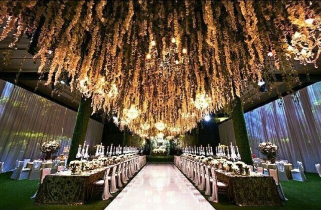 Lighting, Wedding reception, Aisle, Ceremony, Function hall, Event, Building, Tree, Architecture, Ceiling, 