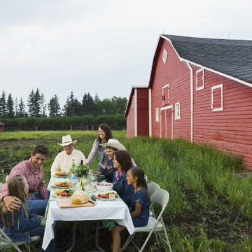 Furniture, Outdoor furniture, Leisure, Sitting, Table, Outdoor table, Land lot, House, Rural area, Sharing, 