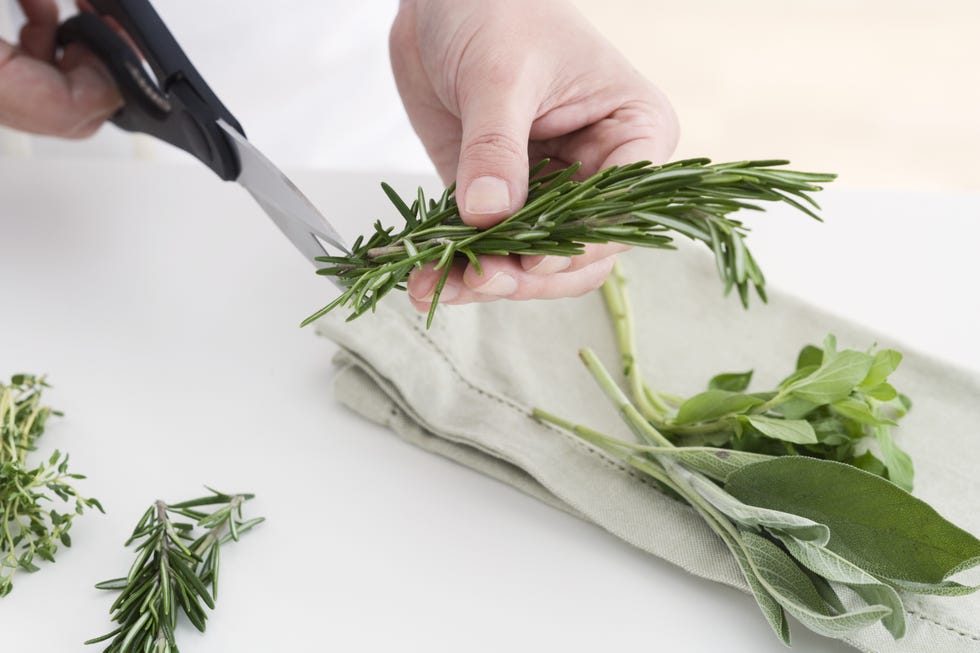 cutting herbs