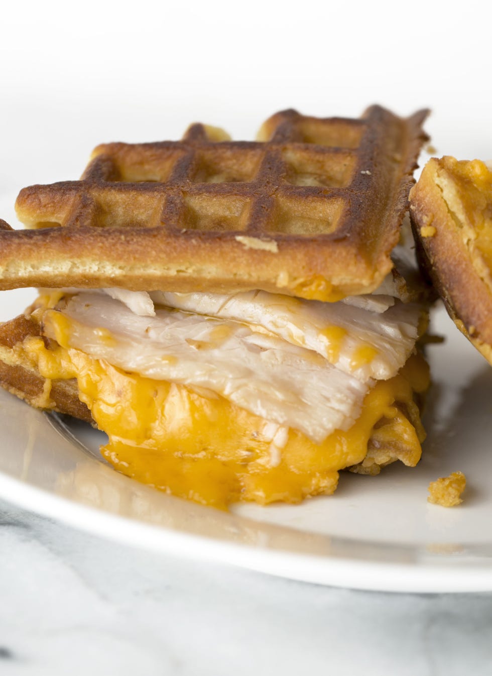 Turkey and melted sharp cheddar.