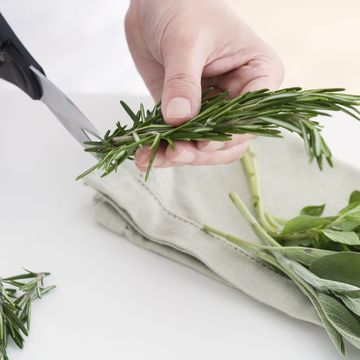 cutting herbs