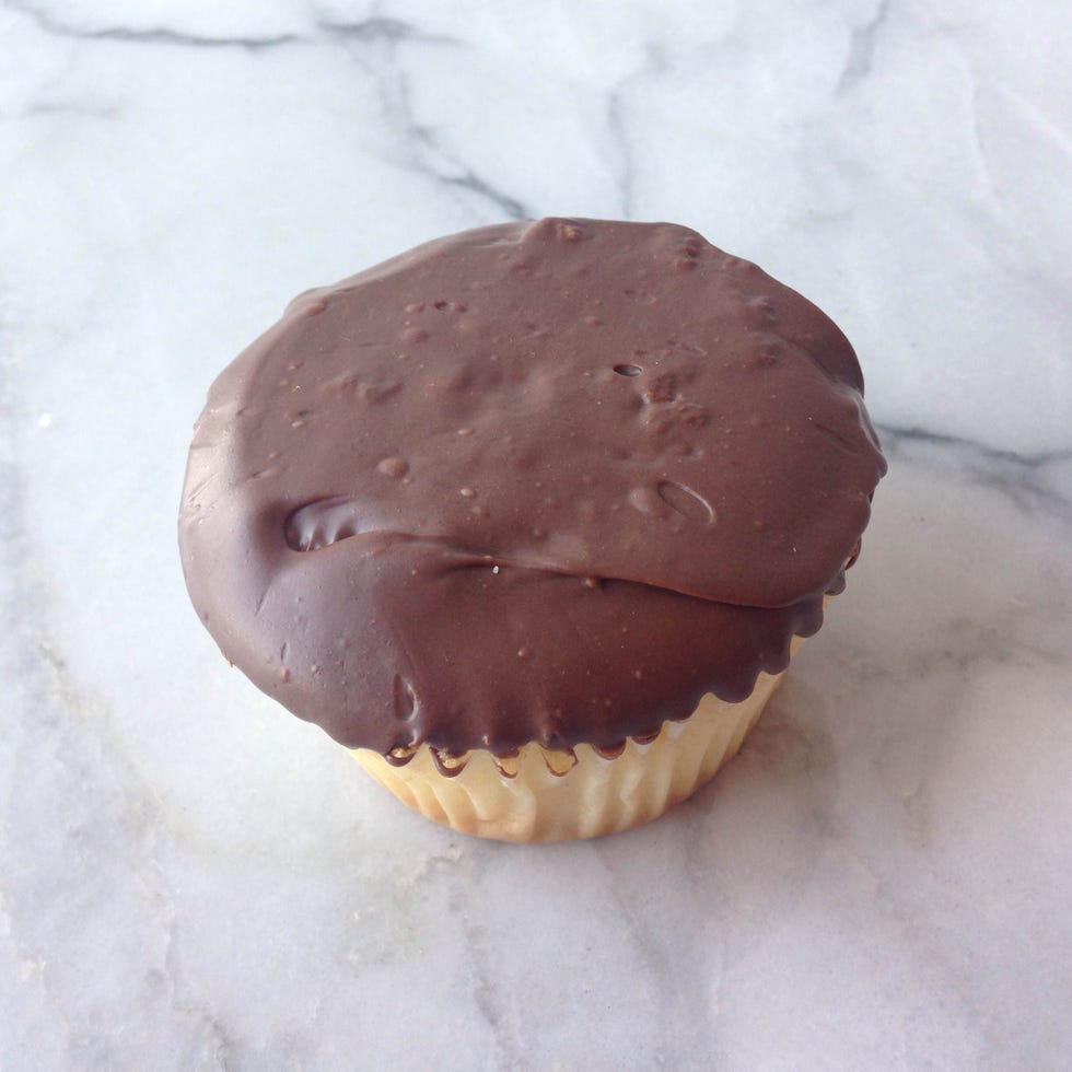 Chocolate Dipped