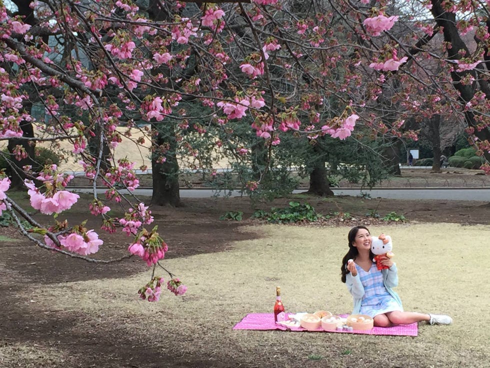 Human, Branch, Petal, Flower, Pink, Woody plant, Blossom, Botany, Spring, Park, 