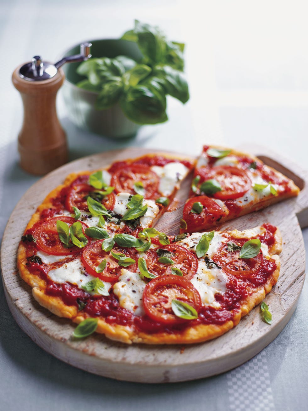 margherita pizza with mozzarella, tomato and basil