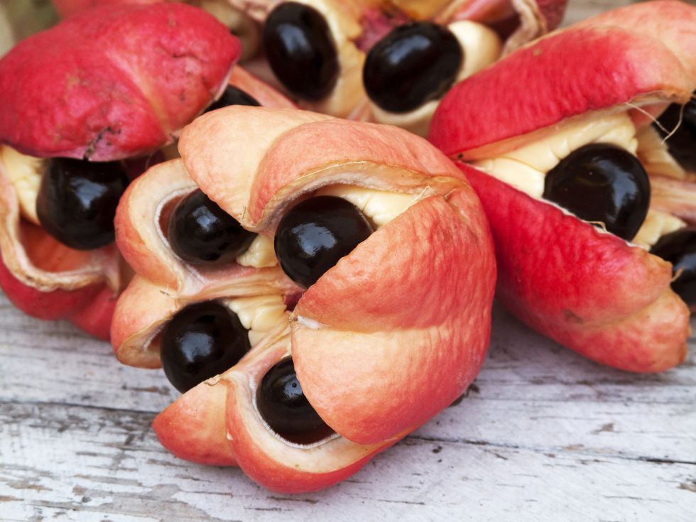 Ackee, Food, Fruit, Plant, Tree, Produce, Dish, Superfood, Cuisine, 