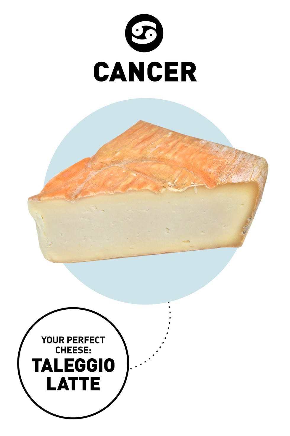 ZodiacCheese_Cancer ZodiacCheese_Cancer