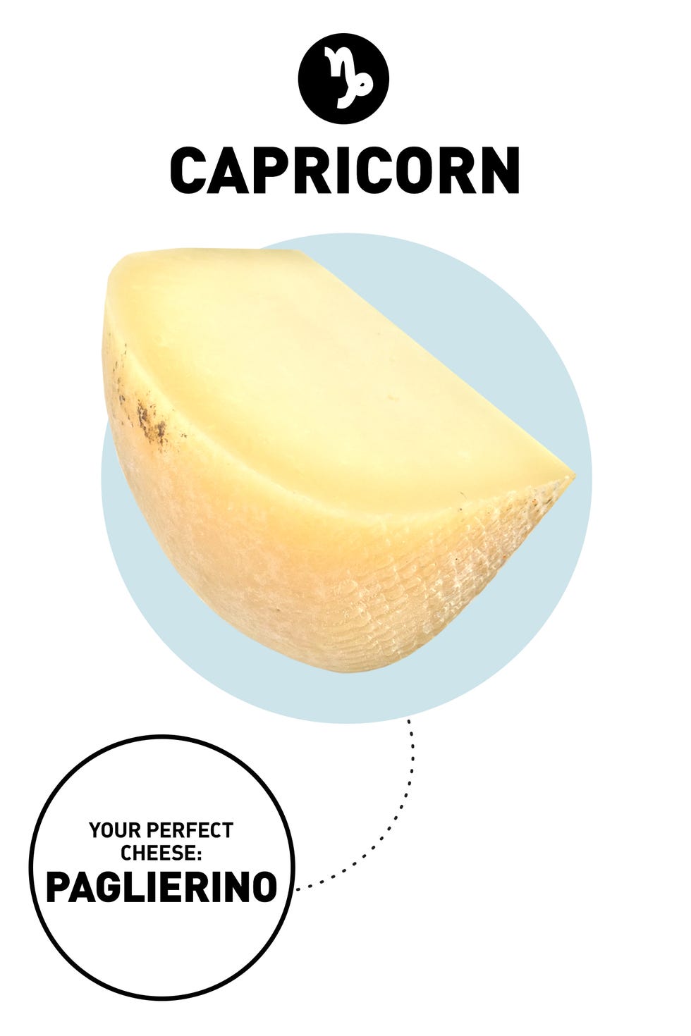ZodiacCheese_Capricorn ZodiacCheese_Capricorn