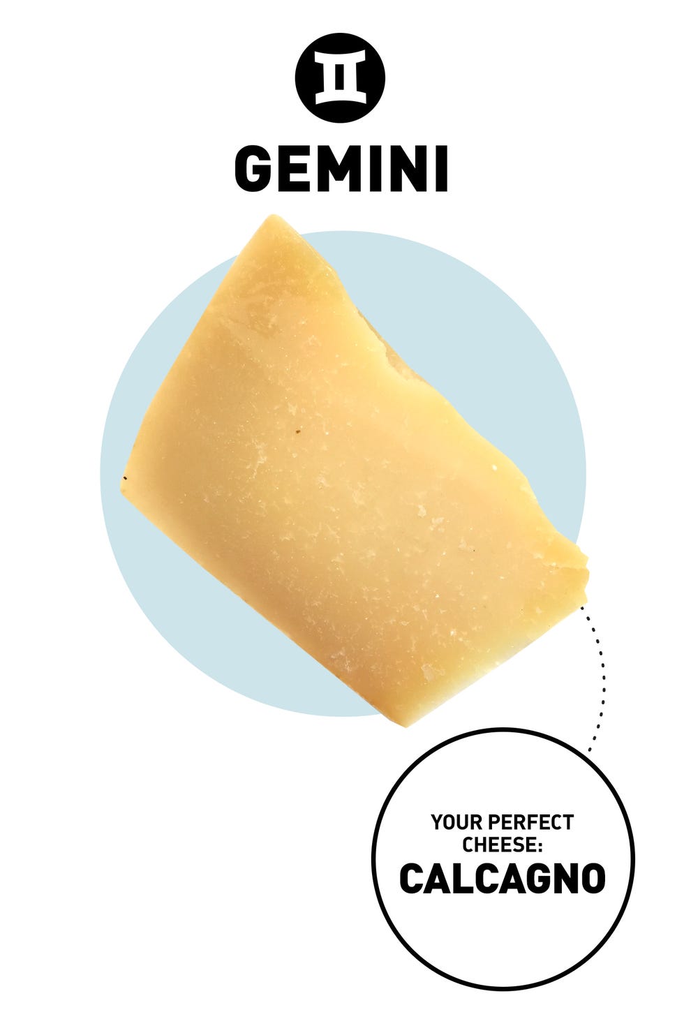 ZodiacCheese_Gemini ZodiacCheese_Gemini