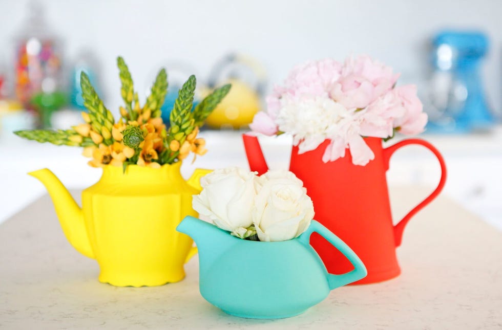 Delish-Rosanna-Pansino-Tour-plants