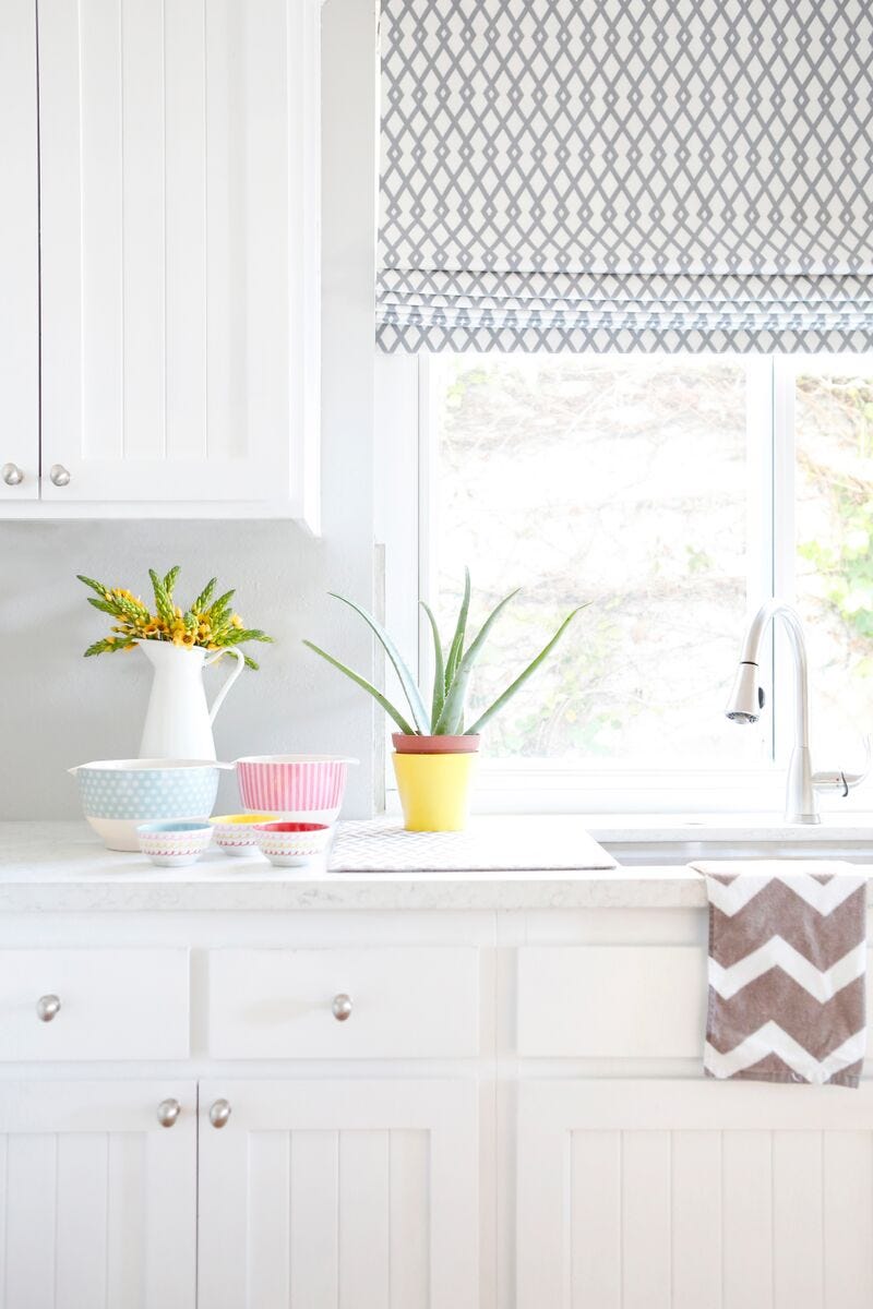 Delish-Rosanna-Pansino-Tour-aloe