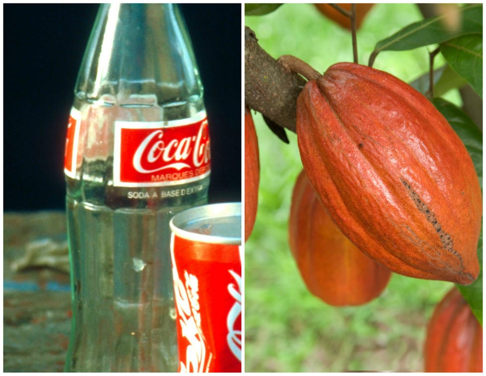 Bottle, Drink, Glass, Drinkware, Cola, Coca-cola, Carbonated soft drinks, Logo, Produce, Transparent material, 