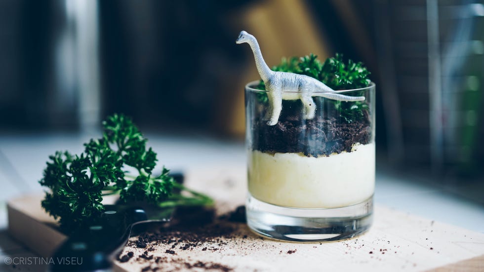 <p>Terrariums have been trendy for a while now, but we like 'em even better when they're made out of vanilla pudding and crushed Oreos. <strong><a target="_blank" href="http://geekandsundry.com/jurassic-world-terrarium-pudding/">Cristina Viseu shares her recipe on Geek &amp; Sundry</a>.</strong></p>
