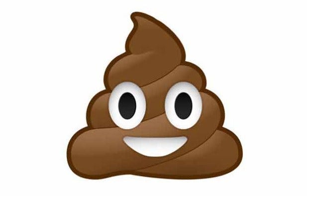 Brown, Animation, Animated cartoon, Cartoon, Art, Fictional character, Graphics, Tan, Pleased, Beak, 