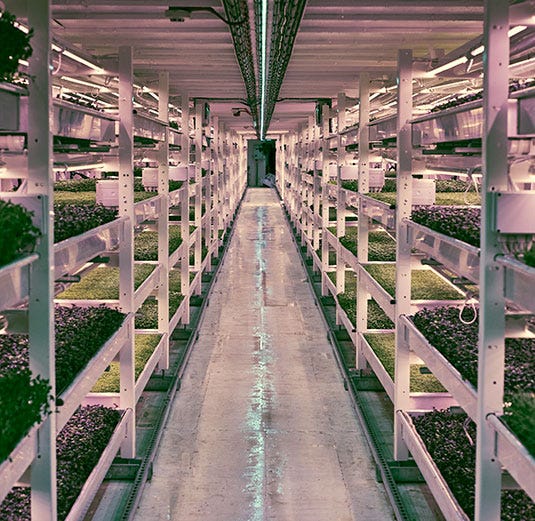 Green, Aisle, Parallel, Iron, Design, Symmetry, Plantation, Beam, Steel, 