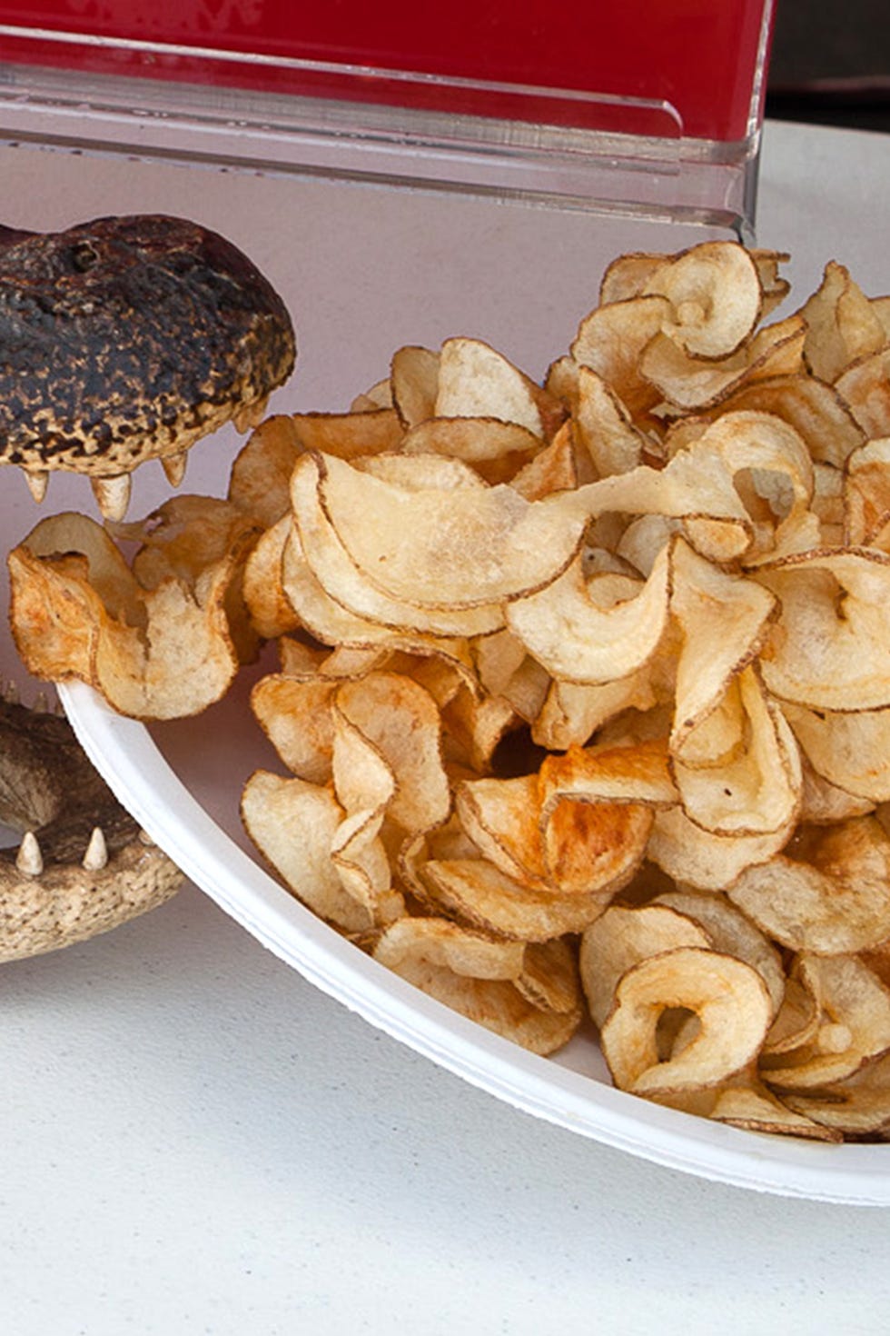 <a target="_blank" href="https://www.facebook.com/chestersgatorsandtaters">Chester's Gators and Taters</a> keeps its homemade ribbon fries on display at all times, so you can sample a few while you decide just how adventurous you're going to be with your lunch (beyond Gator Mac &amp; Cheese, the company also specializes in Shark on a Stick). The crispy chips taste a lot like the kettle-cooked ones you'd find in stores, only fresher—and with less risk of chipping a tooth.