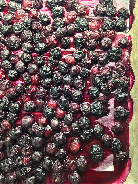 roasted-blueberries-delish-2