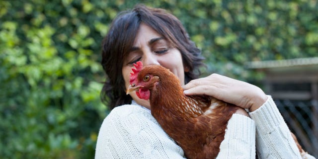 Delish - Woman Holding Chicken - Salmonella Outbreak