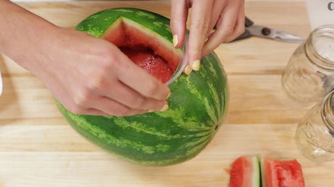 Escapewatermelon Escapewatermelon
