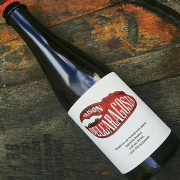 You Can Now Drink a Beer Made with Lobster-Delish.com