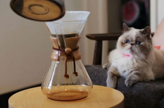Ray Can't Even Pour Over Coffee