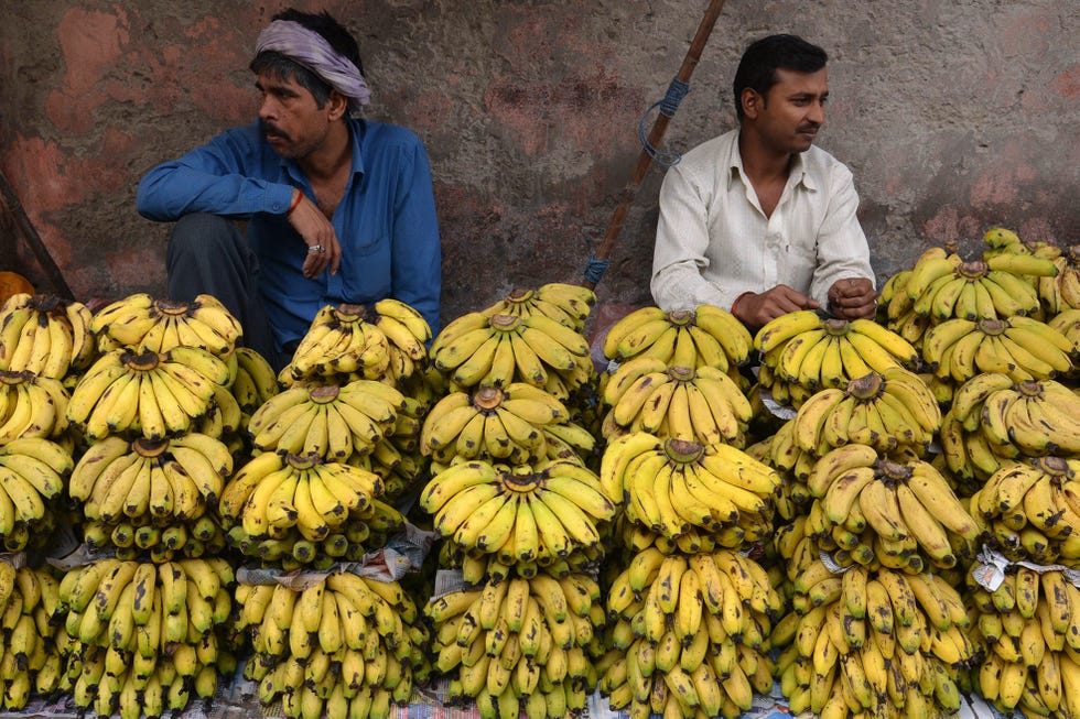 Plant, Banana, Banana family, Selling, Local food, Fruit, Adaptation, Natural foods, Food, Cooking plantain, 