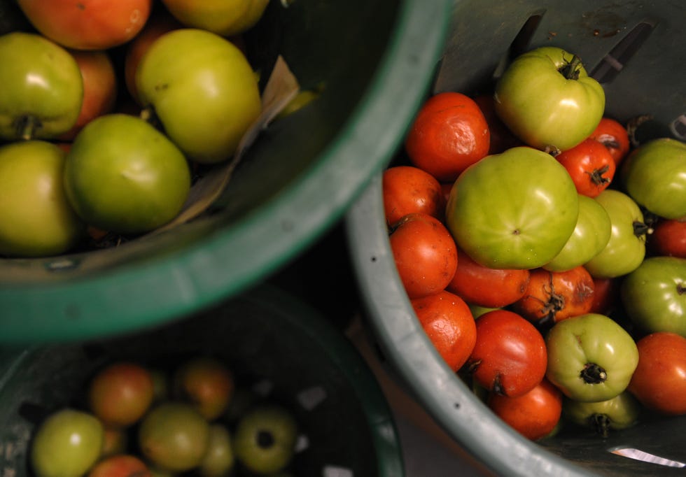 Fruits and vegetables