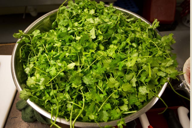 Leaf, Ingredient, Herb, Fines herbes, Annual plant, Leaf vegetable, Coriander, Garden cress, Parsley family, Produce, 