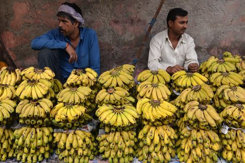 plante, banan, Bananfamilie, salg, lokal mad, frugt, tilpasning, naturlige fødevarer, Mad, Madlavning plantain,