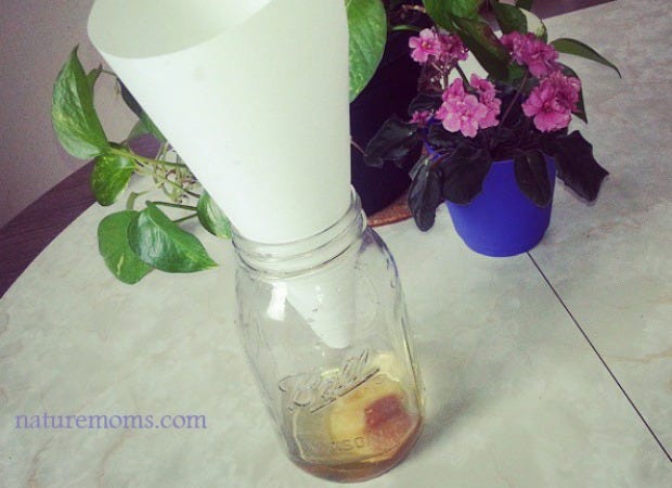 Fluid, Petal, Liquid, Purple, Glass bottle, Interior design, Cut flowers, Lavender, Violet, Bottle, 