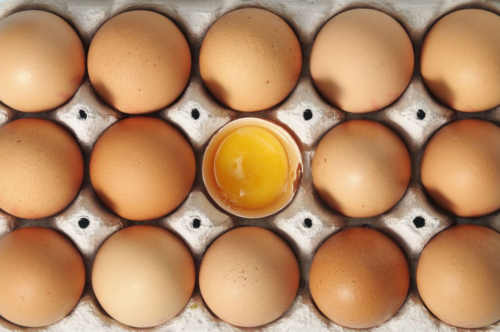 egg carton