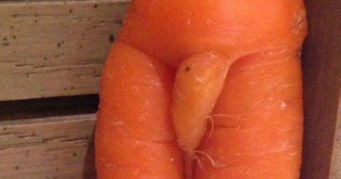 Skin, Orange, Joint, Fluid, Organ, Muscle, Peach, Tan, Abdomen, Close-up, 