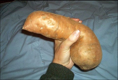Bread, Food, Ingredient, Baked goods, Tan, Root vegetable, Loaf, Staple food, Potato, Snack, 