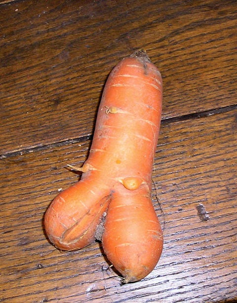 Wood, Brown, Hardwood, Root vegetable, Carrot, Ingredient, Wood stain, Tan, wild carrot, Peach, 