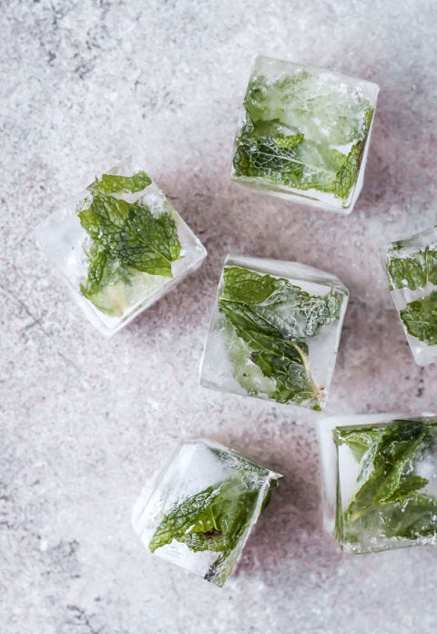 Leaf, Vegetarian food, Plant, Leaf vegetable, Food, Cuisine, Vegetable, Chlorophyta, Green algae, Sea lettuce, 