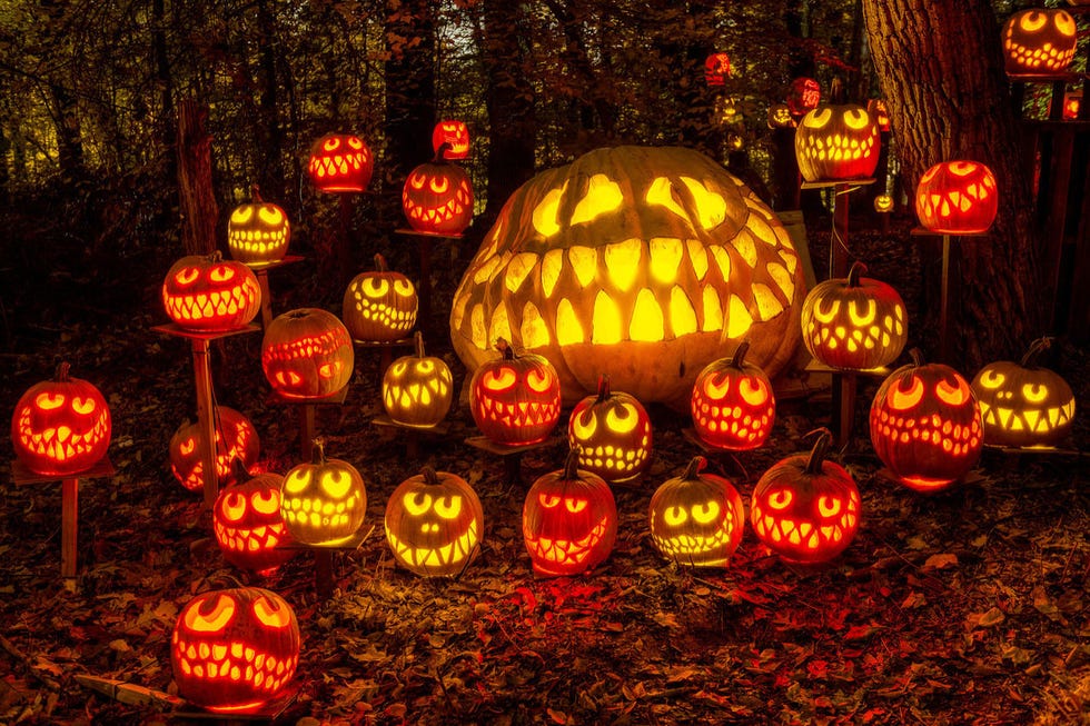 trick-or-treat, Jack-o'-lantern, Lighting, Pumpkin, Lighting accessory, Lantern, Plant, Night, Mid-autumn festival, 