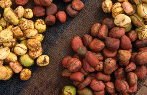 Local food, Natural foods, Ingredient, Vegan nutrition, Produce, Food, Whole food, Fruit, Peach, Superfood, 