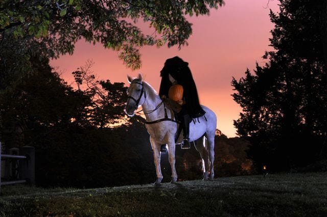 Sky, Night, Tree, Light, Horse, Darkness, Grass, Photography, Fun, Woody plant, 