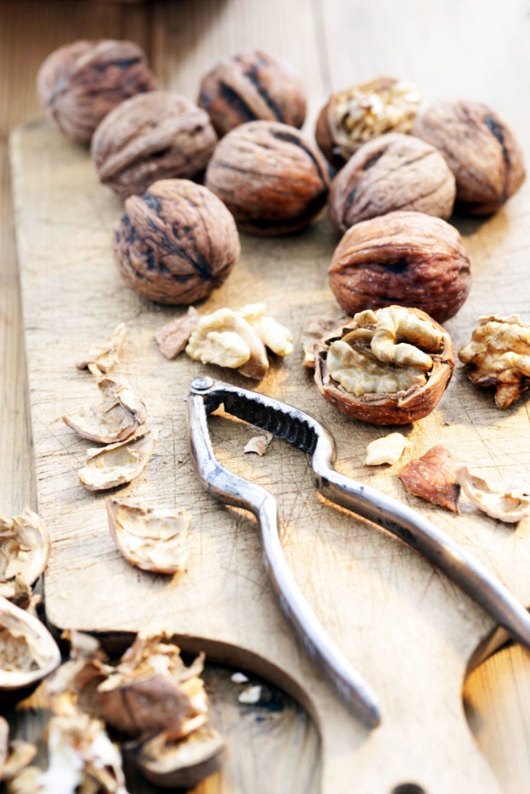 Nut, Natural material, Nuts & seeds, Natural foods, Still life photography, Walnut, Edible mushroom, Whole food, 