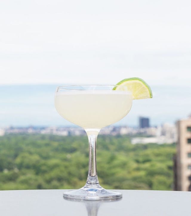 Vodka Gimlet Vodka Gimlet