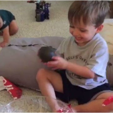 Avocado Kid