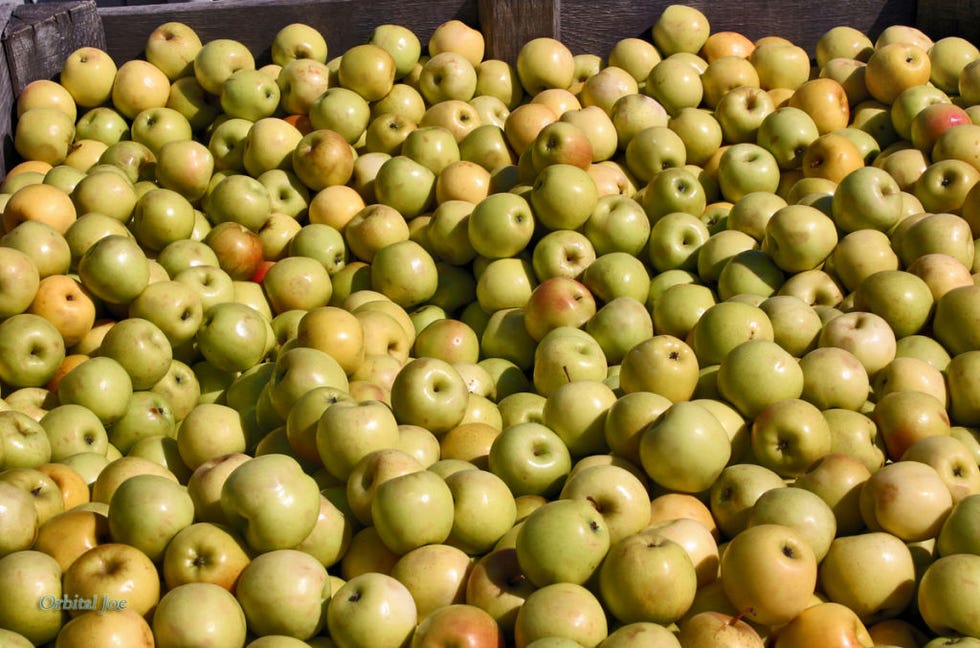 Whole food, Food, Natural foods, Produce, Vegan nutrition, Local food, Ingredient, Fruit, Staple food, Granny smith, Whole food, Food, Natural foods, Produce, Vegan nutrition, Local food, Ingredient, Fruit, Staple food, Granny smith,